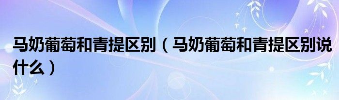 马奶葡萄和青提区别（马奶葡萄和青提区别说什么）