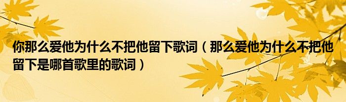 你那么爱他为什么不把他留下歌词（那么爱他为什么不把他留下是哪首歌里的歌词）