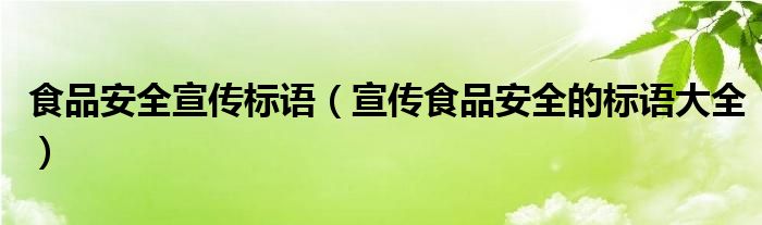 食品安全宣传标语（宣传食品安全的标语大全）