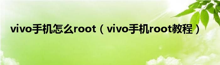 vivo手机怎么root（vivo手机root教程）