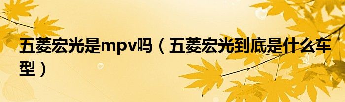 五菱宏光是mpv吗（五菱宏光到底是什么车型）