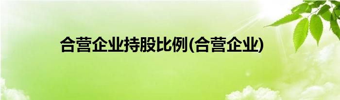 合营企业持股比例(合营企业)