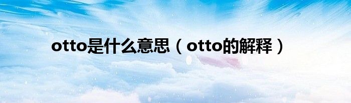 otto是什么意思（otto的解释）