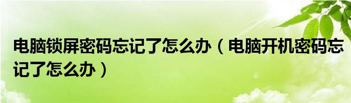 电脑锁屏密码忘记了怎么办（电脑开机密码忘记了怎么办）