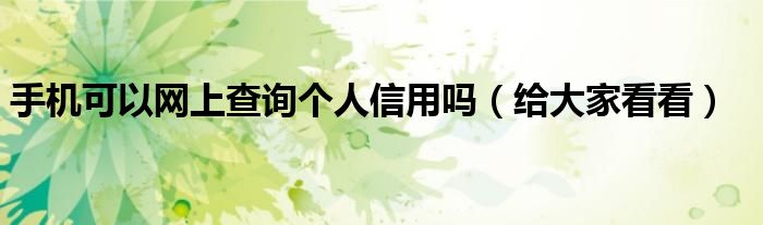 手机可以网上查询个人信用吗（给大家看看）