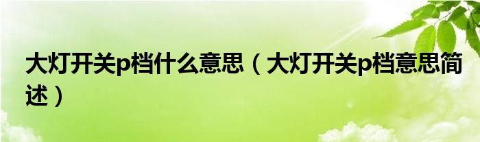 大灯开关p档什么意思（大灯开关p档意思简述）