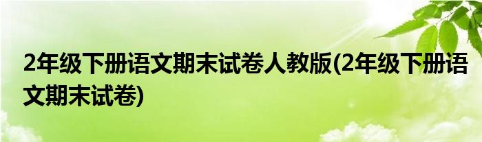 2年级下册语文期末试卷人教版(2年级下册语文期末试卷)