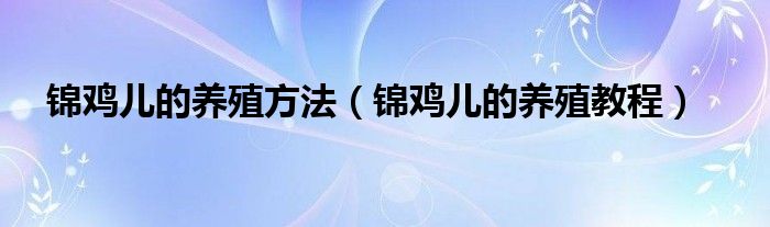 锦鸡儿的养殖方法（锦鸡儿的养殖教程）