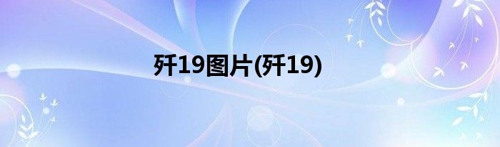 歼19图片(歼19)