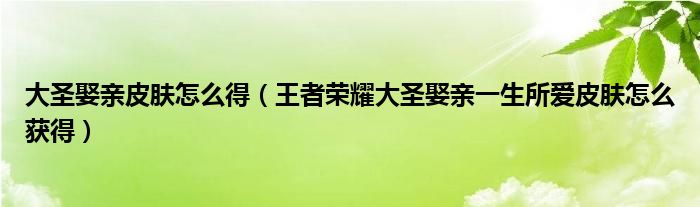 大圣娶亲皮肤怎么得（王者荣耀大圣娶亲一生所爱皮肤怎么获得）