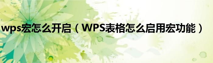 wps宏怎么开启（WPS表格怎么启用宏功能）