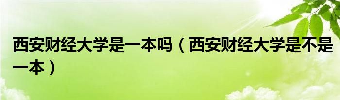 西安财经大学是一本吗（西安财经大学是不是一本）