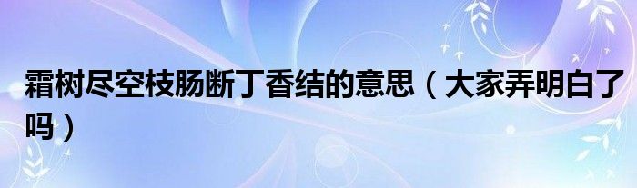 霜树尽空枝肠断丁香结的意思（大家弄明白了吗）