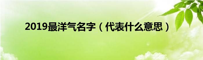 2019最洋气名字（代表什么意思）