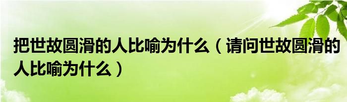 把世故圆滑的人比喻为什么（请问世故圆滑的人比喻为什么）