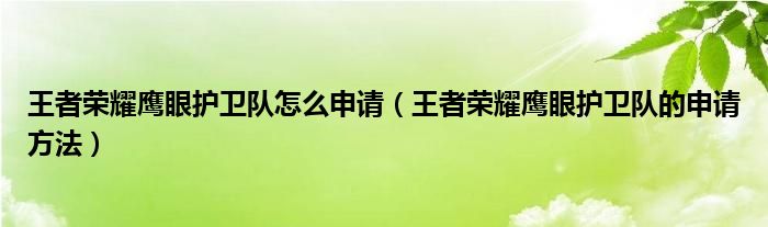 王者荣耀鹰眼护卫队怎么申请（王者荣耀鹰眼护卫队的申请方法）