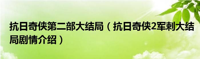 抗日奇侠第二部大结局（抗日奇侠2军刺大结局剧情介绍）