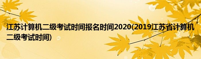 江苏计算机二级考试时间报名时间2020(2019江苏省计算机二级考试时间)