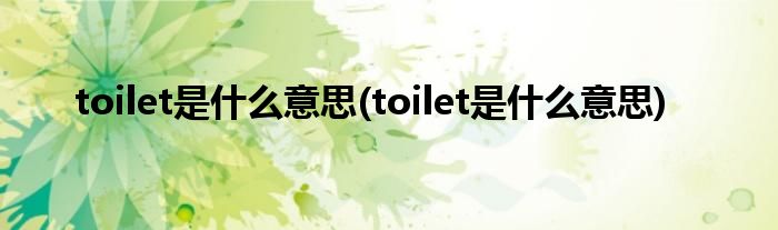 toilet是什么意思(toilet是什么意思)