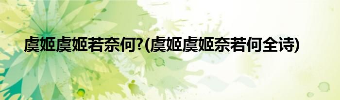 虞姬虞姬若奈何?(虞姬虞姬奈若何全诗)