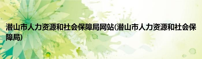 潜山市人力资源和社会保障局网站(潜山市人力资源和社会保障局)