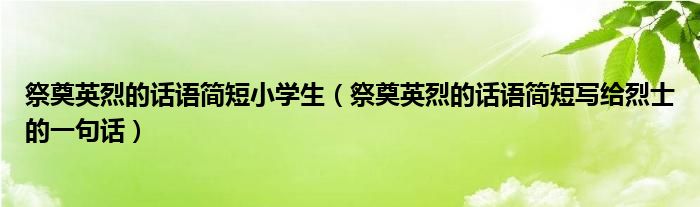 祭奠英烈的话语简短小学生（祭奠英烈的话语简短写给烈士的一句话）