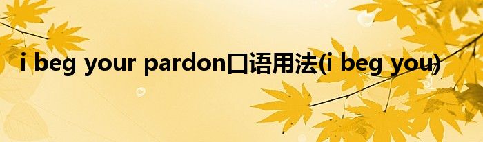 i beg your pardon口语用法(i beg you)