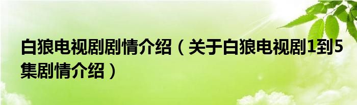 白狼电视剧剧情介绍（关于白狼电视剧1到5集剧情介绍）