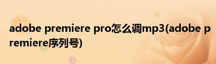 adobe premiere pro怎么调mp3(adobe premiere序列号)