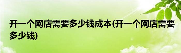 开一个网店需要多少钱成本(开一个网店需要多少钱)