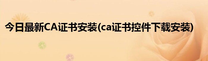 今日最新CA证书安装(ca证书控件下载安装)