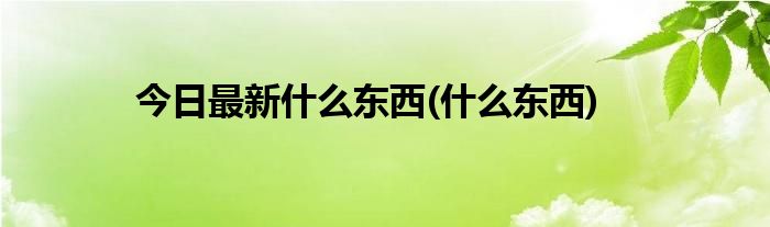 今日最新什么东西(什么东西)