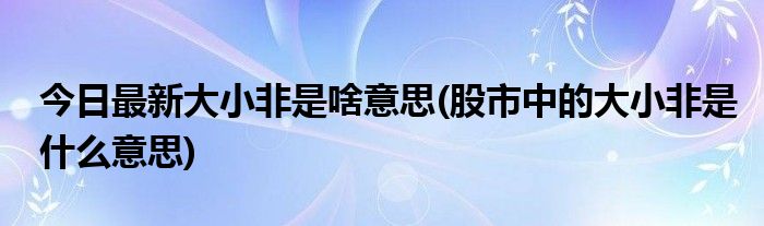 今日最新大小非是啥意思(股市中的大小非是什么意思)