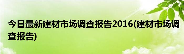 今日最新建材市场调查报告2016(建材市场调查报告)