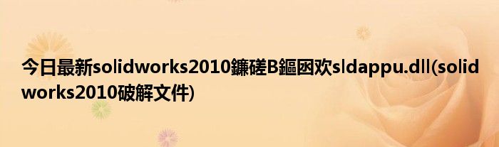 今日最新solidworks2010鐮磋В鏂囦欢sldappu.dll(solidworks2010破解文件)