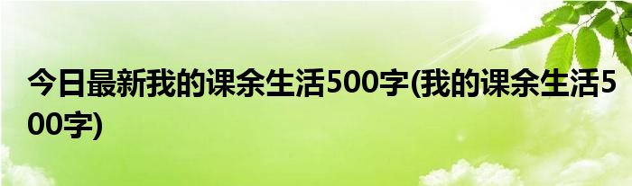 今日最新我的课余生活500字(我的课余生活500字)