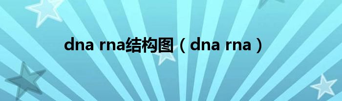 dna rna结构图（dna rna）