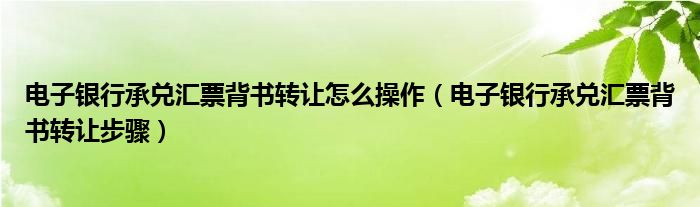 电子银行承兑汇票背书转让怎么操作（电子银行承兑汇票背书转让步骤）