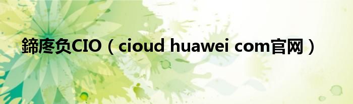 鍗庝负CIO（cioud huawei com官网）