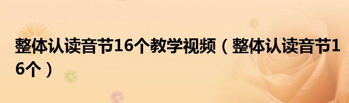 整体认读音节16个教学视频（整体认读音节16个）