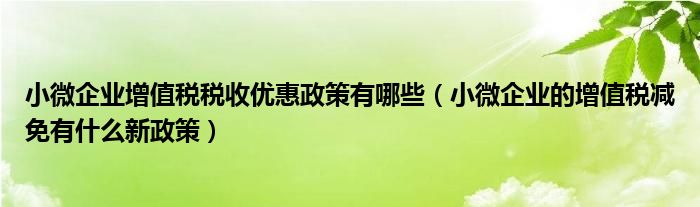 小微企业增值税税收优惠政策有哪些（小微企业的增值税减免有什么新政策）