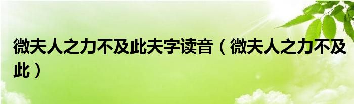 微夫人之力不及此夫字读音（微夫人之力不及此）