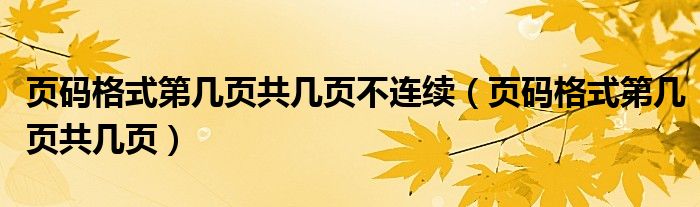 页码格式第几页共几页不连续（页码格式第几页共几页）