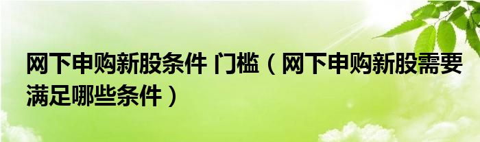 网下申购新股条件 门槛（网下申购新股需要满足哪些条件）