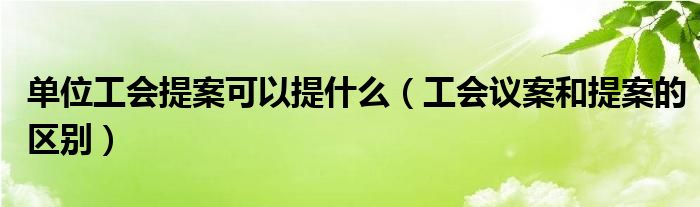 单位工会提案可以提什么（工会议案和提案的区别）