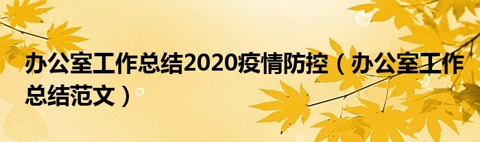 办公室工作总结2020疫情防控（办公室工作总结范文）