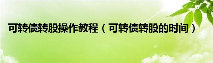 可转债转股操作教程（可转债转股的时间）