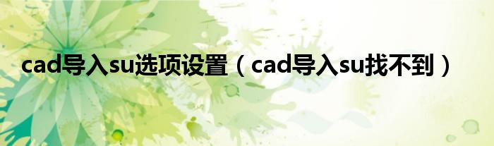 cad导入su选项设置（cad导入su找不到）