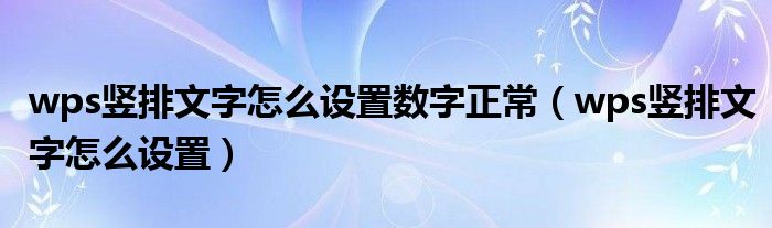 wps竖排文字怎么设置数字正常（wps竖排文字怎么设置）