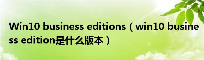 Win10 business editions（win10 business edition是什么版本）